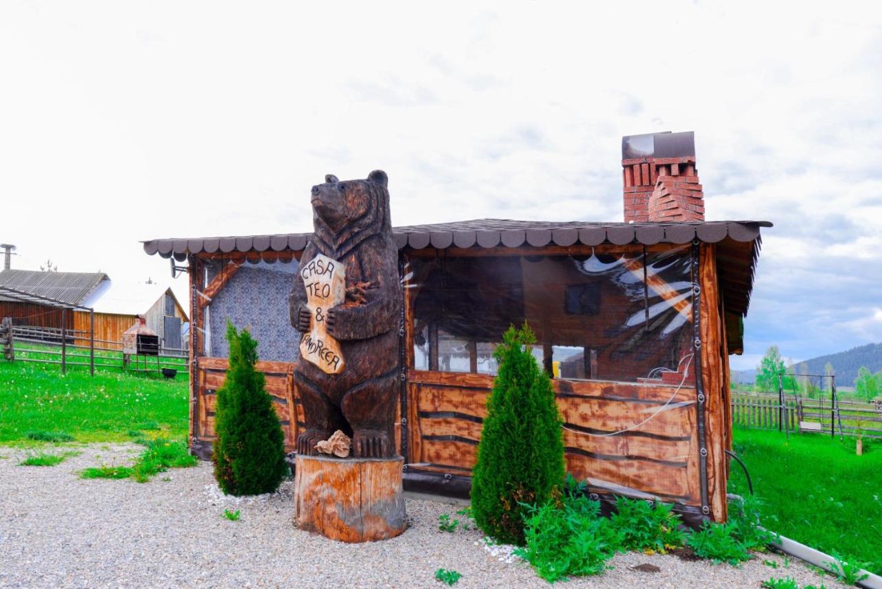 Hotel Casa Teo&Andreea Vatra Dornei Zewnętrze zdjęcie