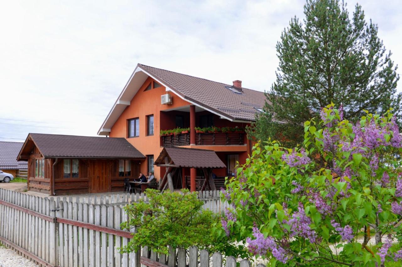 Hotel Casa Teo&Andreea Vatra Dornei Zewnętrze zdjęcie