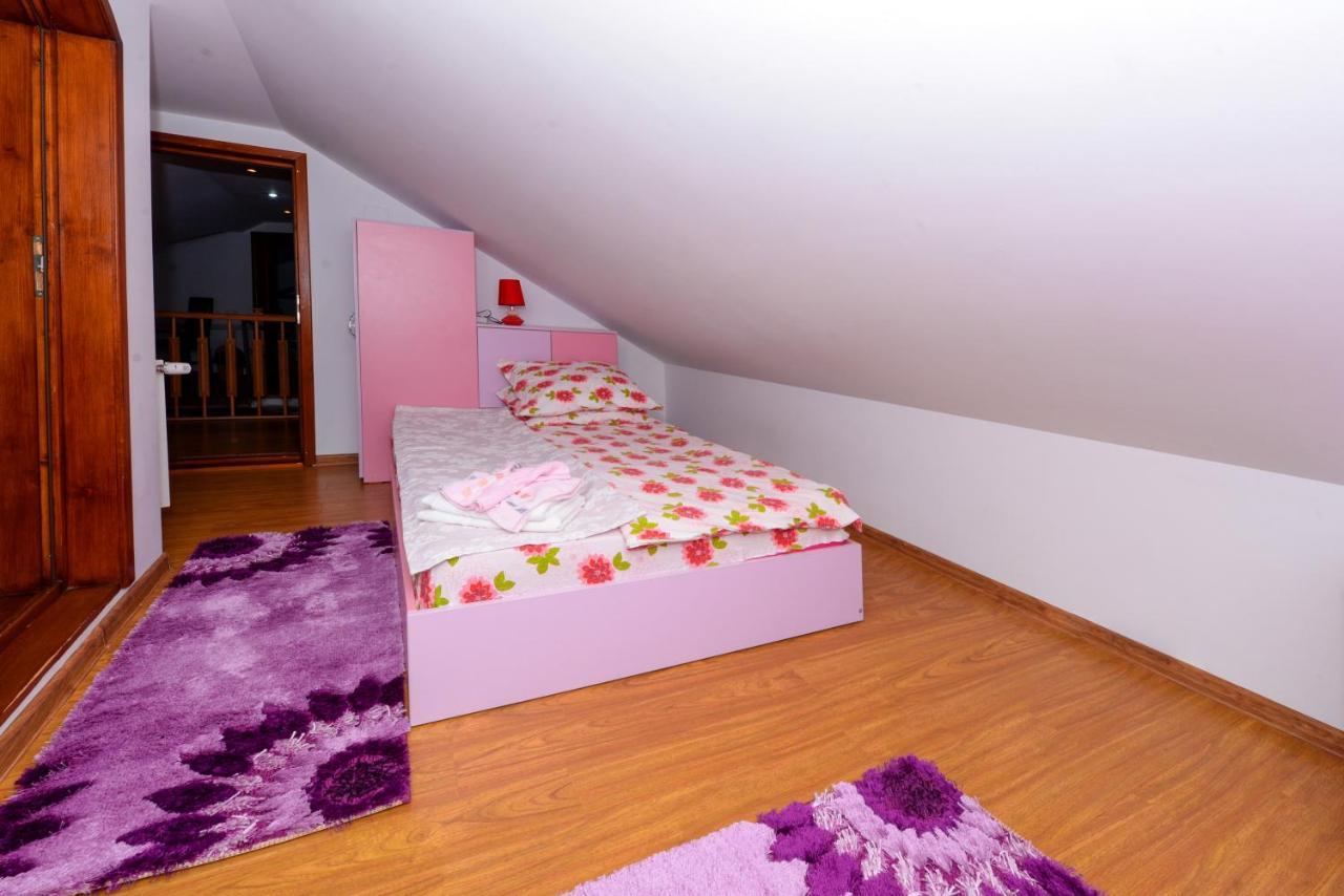 Hotel Casa Teo&Andreea Vatra Dornei Zewnętrze zdjęcie